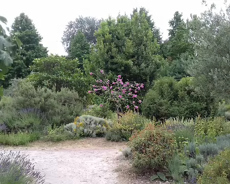 031 un jardin méditerranéen