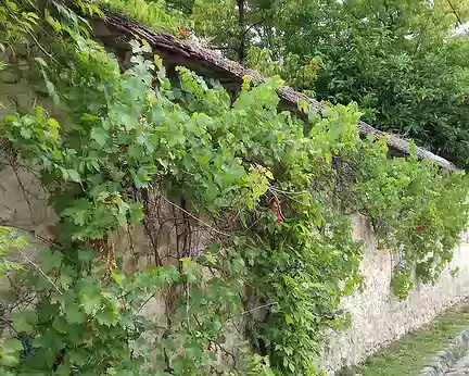 005 Les murs à vigne de Thomery