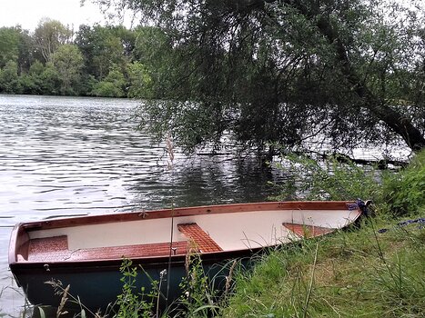 Jocelyne Jocelyne D, détail sortie