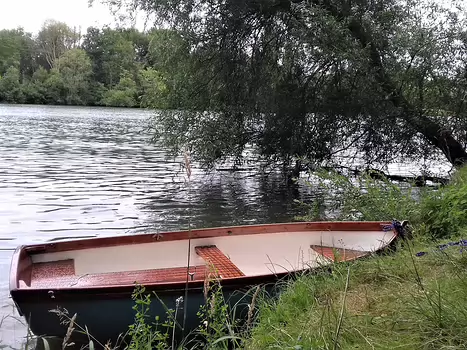 Jocelyne Jocelyne D, détail sortie