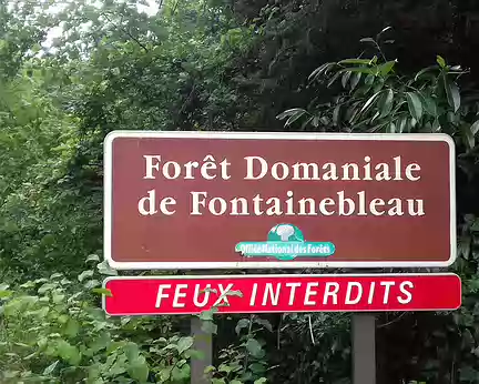 033 La forêt domaniale de Fontainebleau