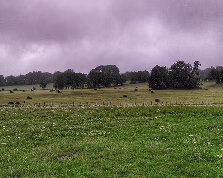 P_20200730 Trevillers, départ 3ème jour dans la brume