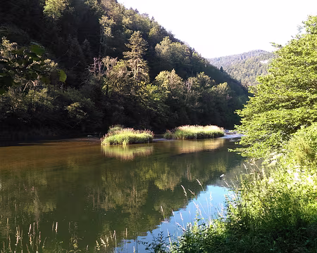 P_20200751 Le long du Doubs