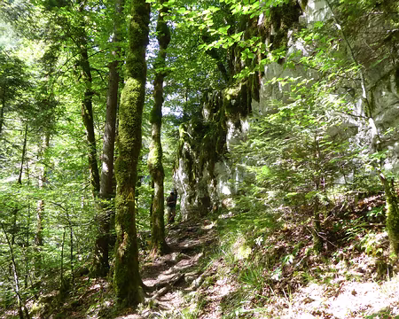 P_20200753 Dans les gorges du Doubs