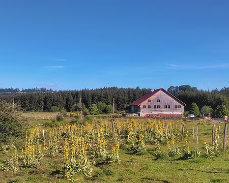 P_20200771 Fournet Blancheroche, ferme Morin