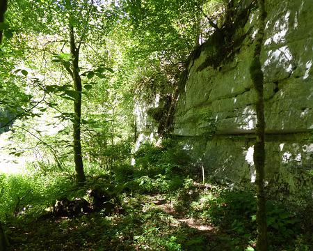 P_20200775 variante par le GR5