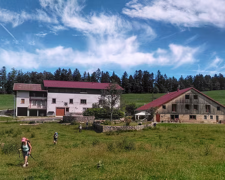 P_20200826 Sur la Roche