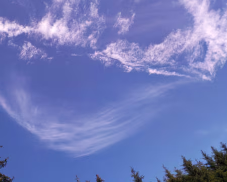 P_20200834 Sourire du ciel, Meix Lagor