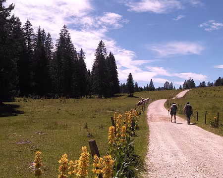 P_20200837 Vers les Feuves