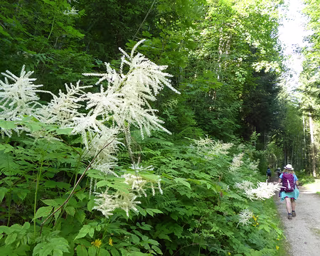 P_20200846 Départ au 7ème jour