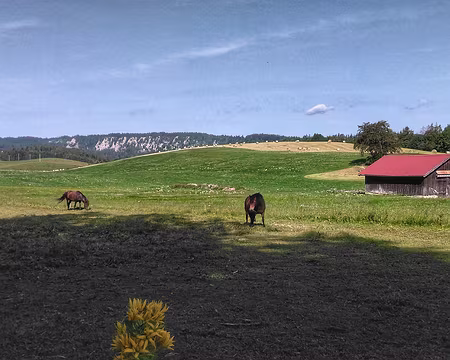 P_20200849 Vers Les,Seignes. Au loin les rochers du Cerf.