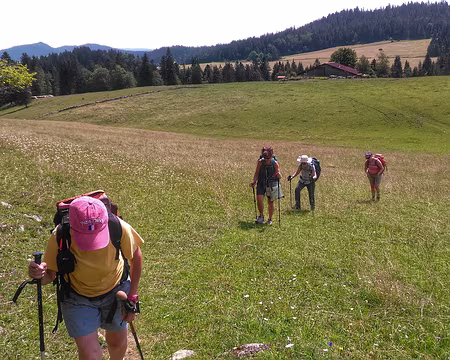 P_20200853 Suisse. Montée à la Côte du Cerf.