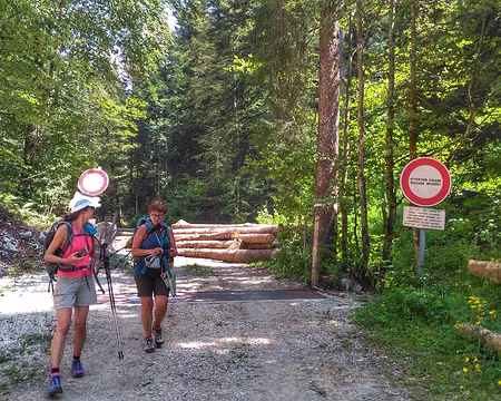 P_20200865 Douane en forêt