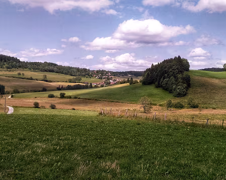 P_20200866 Les Alliés