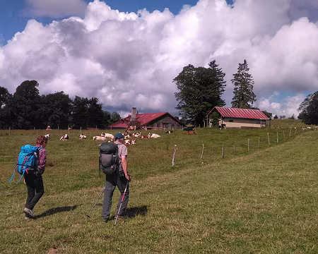 P_20200869 Départ du 8ème jour