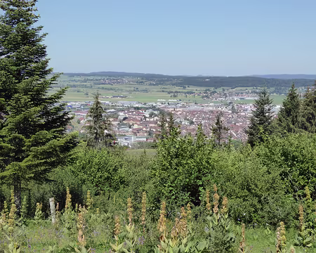 P_20200876 vue sur Pontarlier