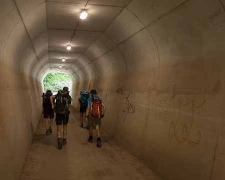 025_4V1A7900 Voilà comment on traverse l’autoroute !