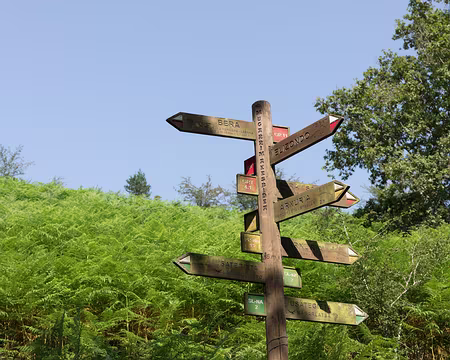 075_4V1A8153 Il y a de quoi s’y perdre