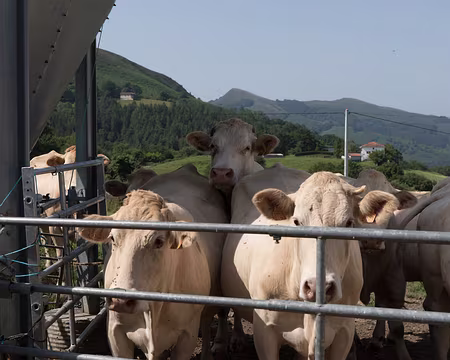 077_4V1A8160 On se presse pour nous voir passer !