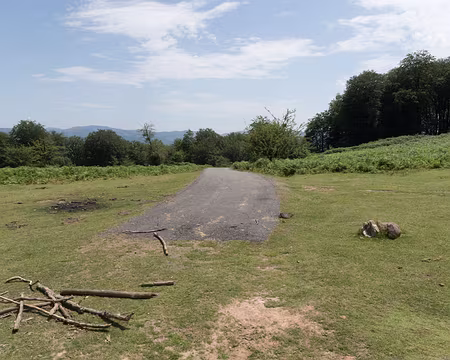 118_4V1A8375 Est-ce le début ou la fin de la route ?