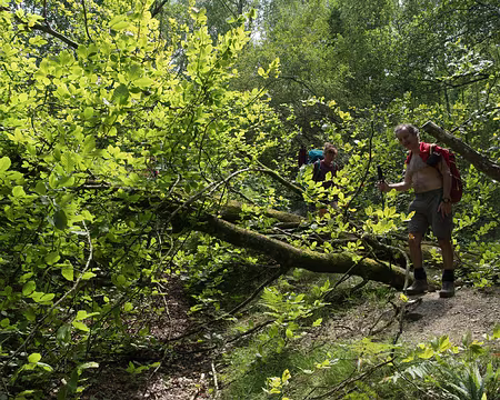 121_4V1A8386 Obstacles sur le chemin