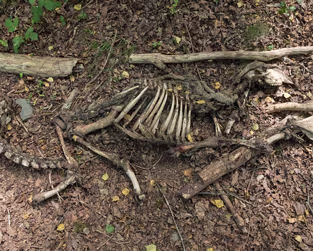 122_4V1A8389 Certains n’ont pas survécu