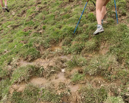 174_4V1A8597 … doivent bien rigoler de nous voir nous embourber dans leurs traces