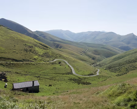 194_4V1A8684 A l’horizon, le Pic d’Orhy dépasse de la Crête d’Urkulu
