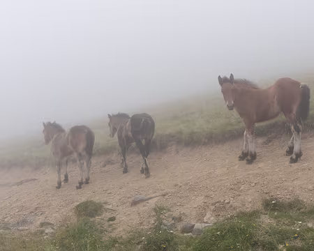 268_4V1A9098 Dans le nuage