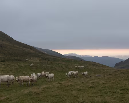 269_4V1A9107 Sous le nuage