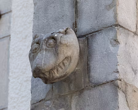 300_4V1A9294 L’ours