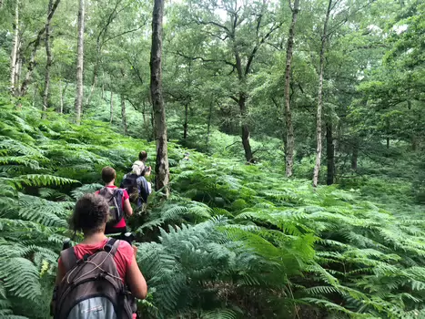 2020-07 Perray-en-Yvelines