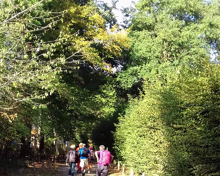 001 Départ de Bois-le-Roi