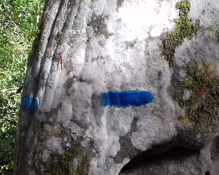 019 Les sentiers bleus créés par C. Denecourt au XIXème siècle