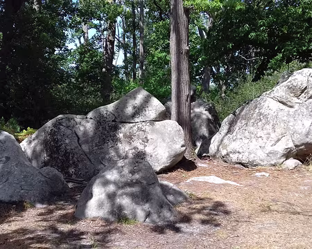030 Les grès de Fontainebleau