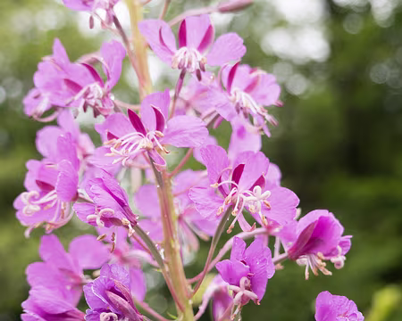 20200801-16h17m49s-XLA00838-V3