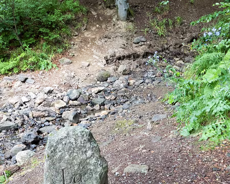 20200801-16h21m59s-XLA00840-V3 La Dogne