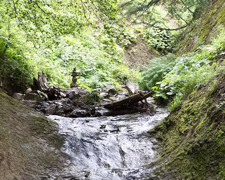 20200801-16h22m34s-XLA00843-V3 Dore + Dogne = Dordogne