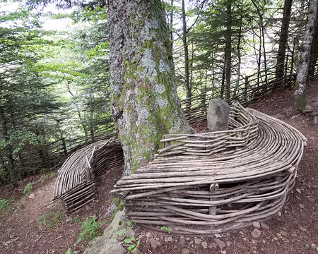 20200801-16h47m33s-XLA00846-V3