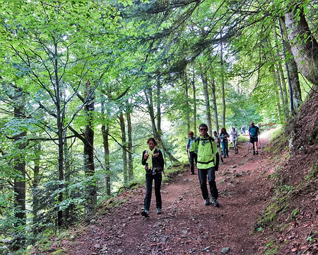 20200802-10h13m57s-DSC03738-V3