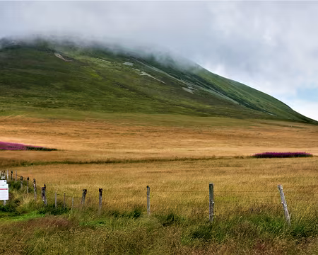 20200802-11h44m37s-DSC03745-V3