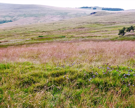 20200802-12h41m40s-DSC03747-V3