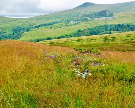 20200802-12h42m05s-DSC03749-V3