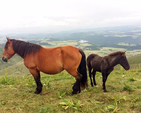 20200802-13h57m15s-20200802_135715-V3