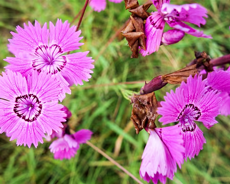 20200802-15h23m20s-DSC03761-V3