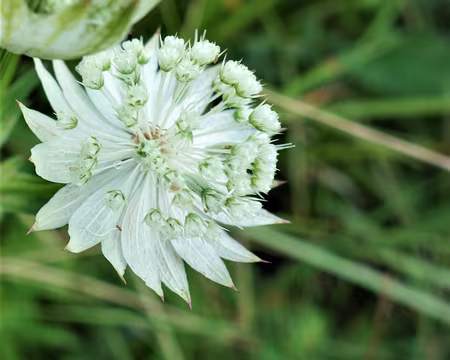 20200802-16h21m33s-DSC03771-V3