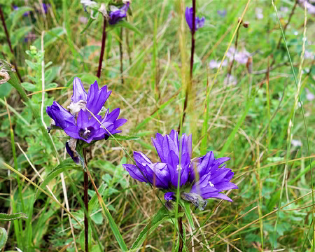 20200802-16h25m06s-DSC03775-V3