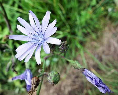 20200802-16h30m40s-DSC03778-V3