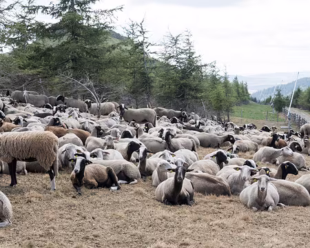 20200803-10h34m09s-XLA00870-V3