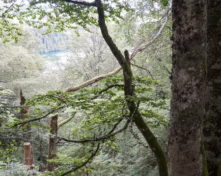 20200803-12h42m28s-XLA00875-V3